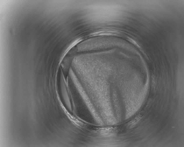 X0000058761426200510281906