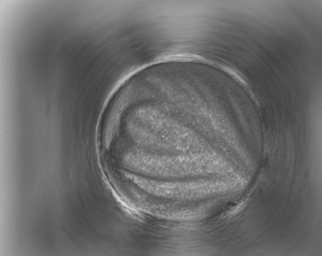 X0000058761430200510281906