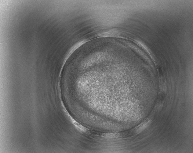 X0000058761434200510281906