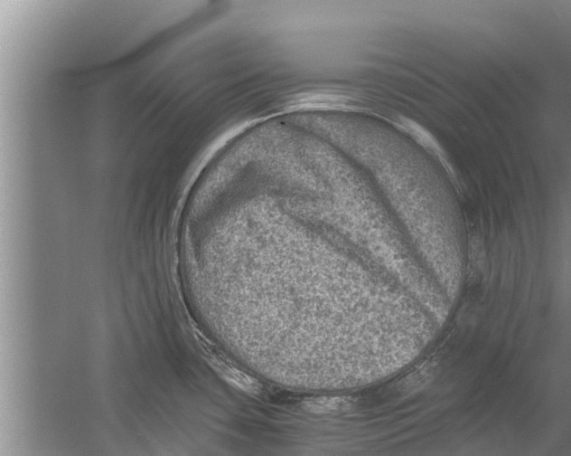 X0000058761435200510281906