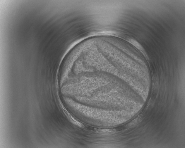 X0000058761436200510281906