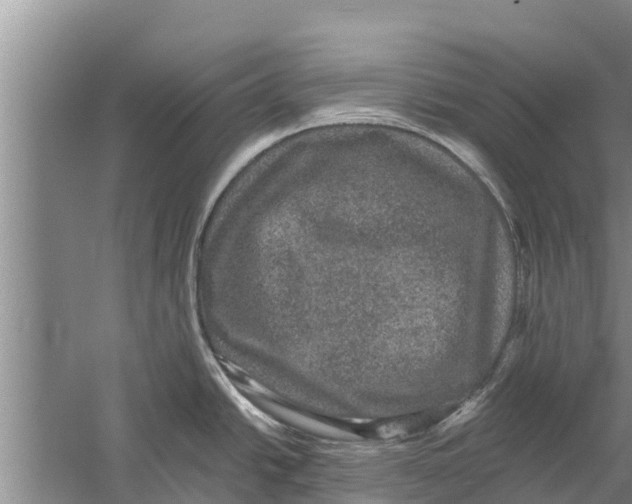 X0000058761438200510281906