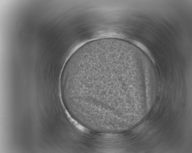 X0000058761439200510281906