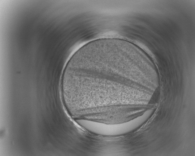 X0000058761440200510281906