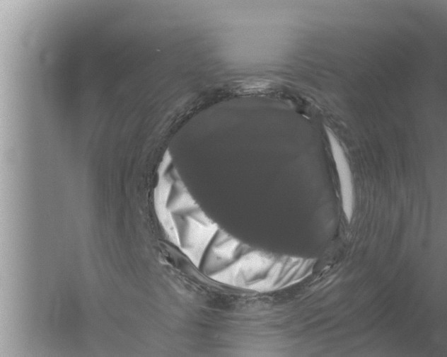 X0000058761441200510281905