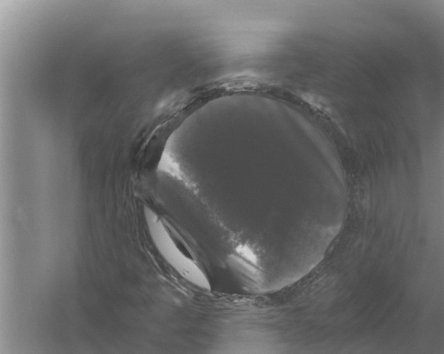 X0000058761445200510281905