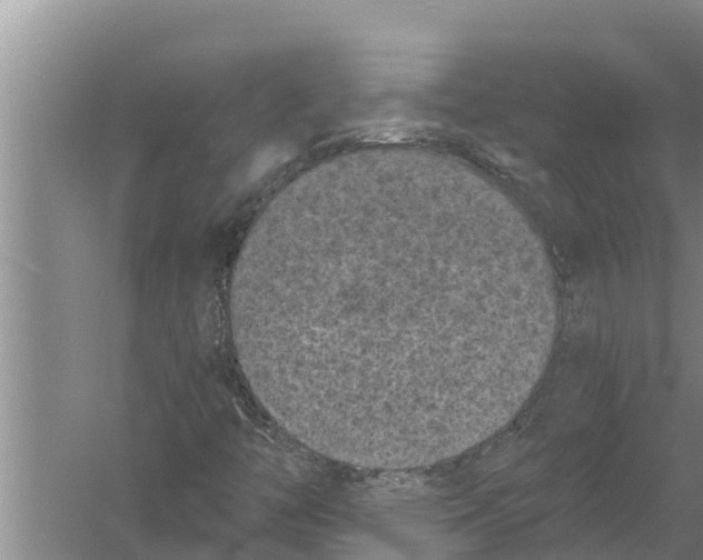 X0000058761446200510281905