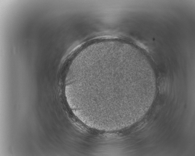 X0000058761448200510281905