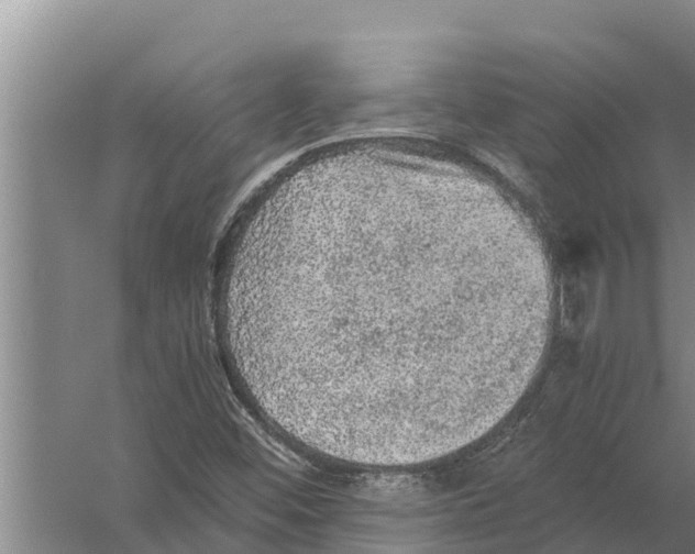 X0000058761452200510281905