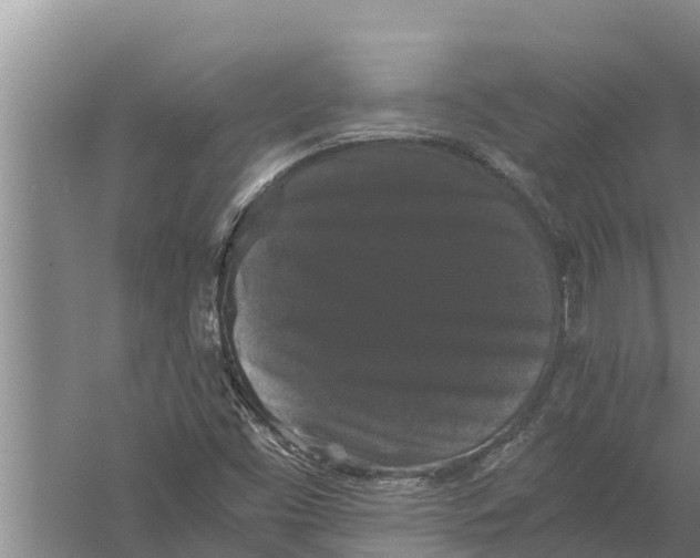 X0000058761453200510281905