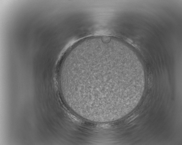 X0000058761454200510281905