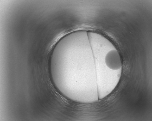 X0000058761455200510281905