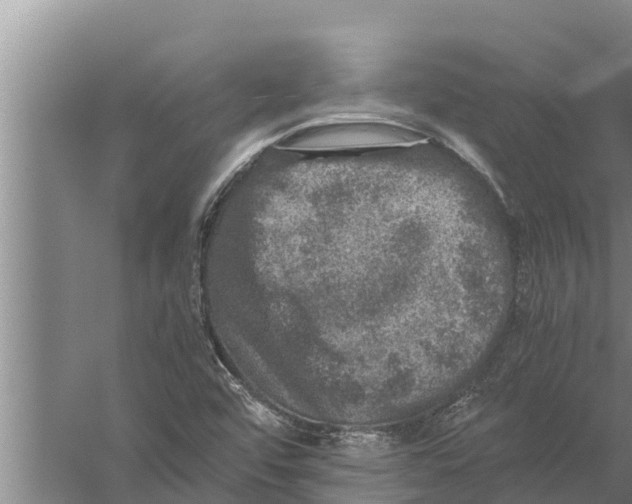 X0000058761456200510281905