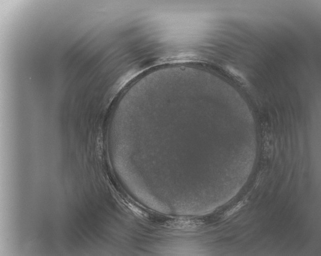 X0000058761457200510281905