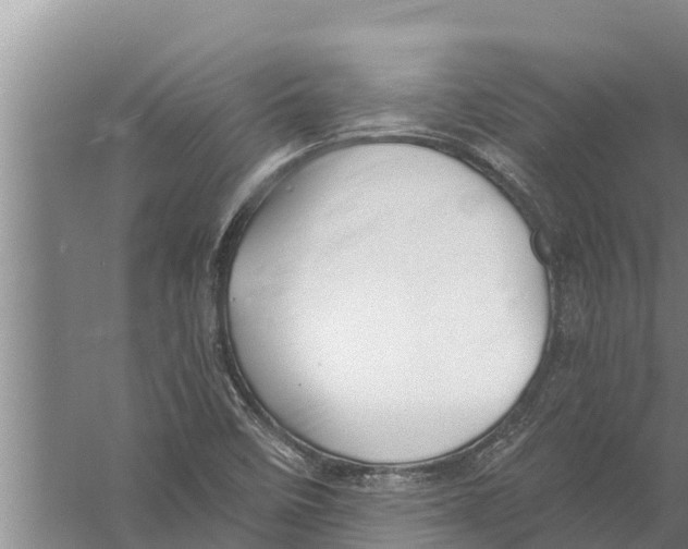 X0000058761458200510281905