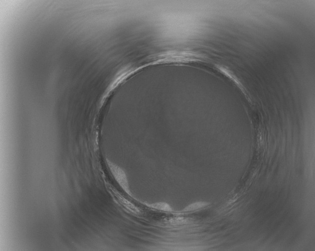 X0000058761459200510281905