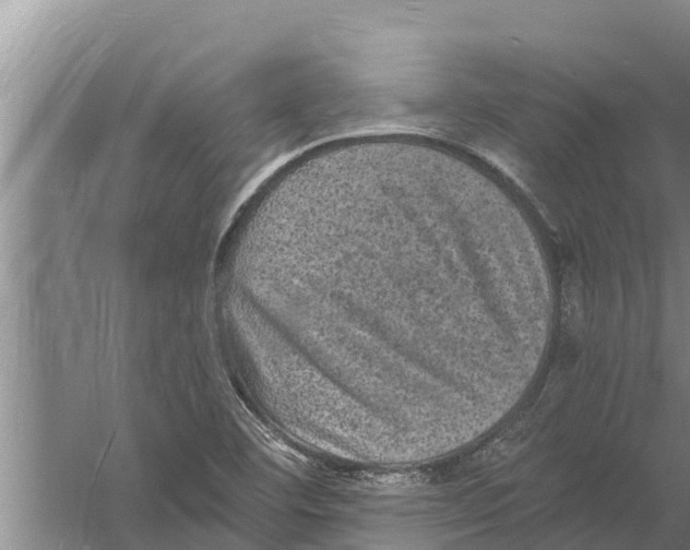 X0000058761460200510281905