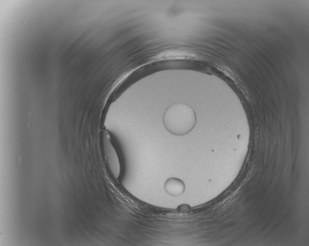 X0000058761465200510281905