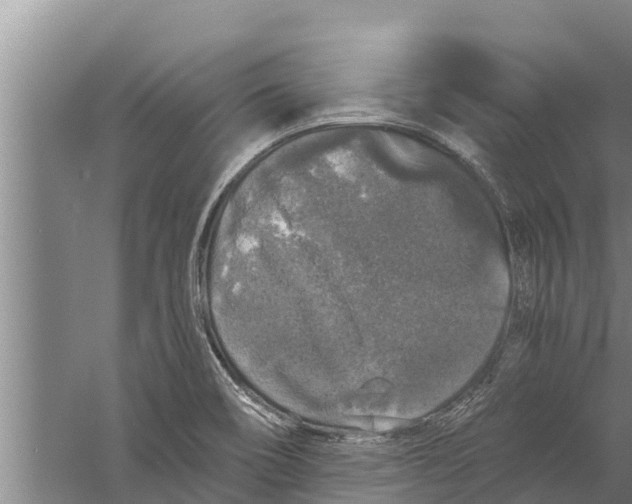 X0000058761466200510281905