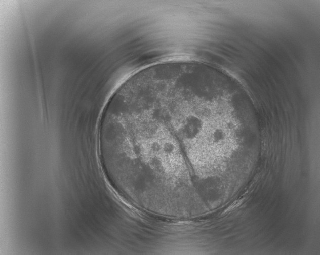 X0000058761467200510281905