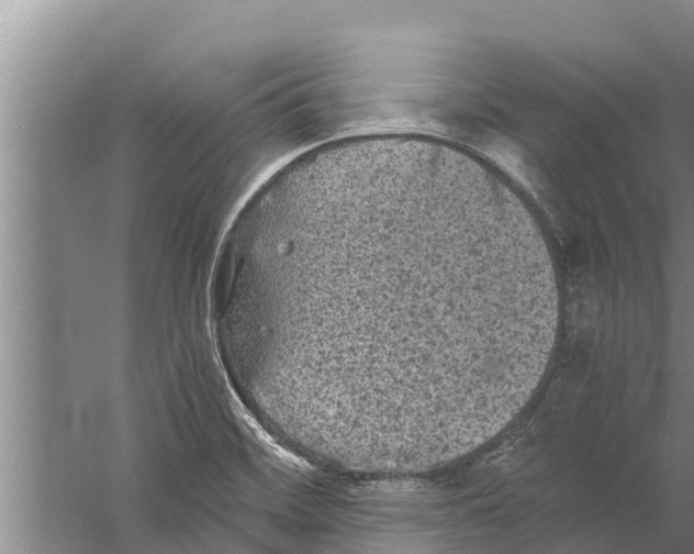 X0000058761468200510281905