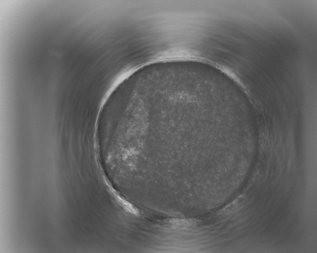 X0000058761469200510281905