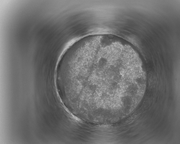 X0000058761472200510281905