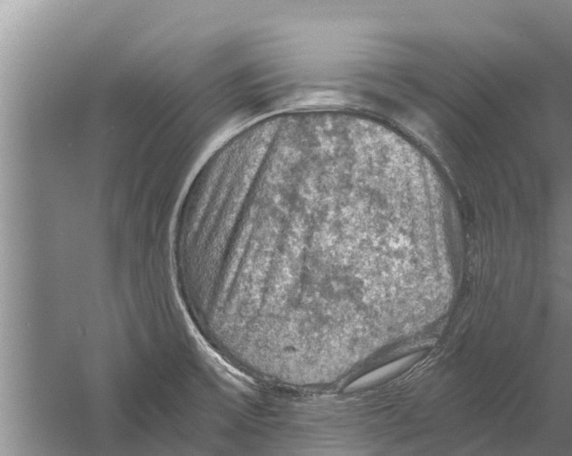 X0000058761475200510281905