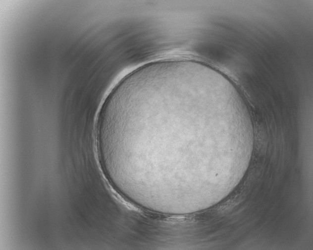 X0000058761478200510281905