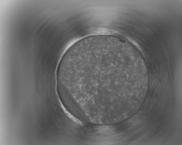 X0000058761479200510281905