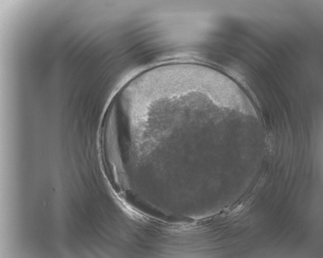 X0000058761482200510281904