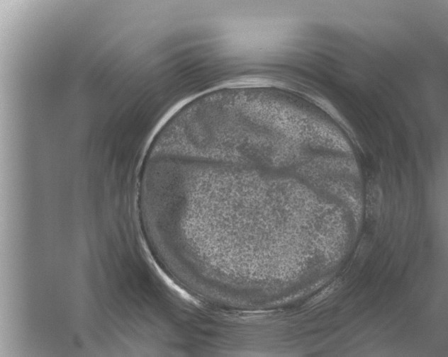 X0000058761484200510281904