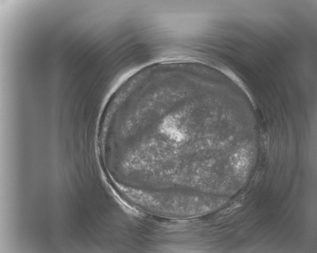 X0000058761485200510281904