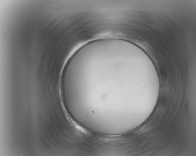 X0000058761486200510281904