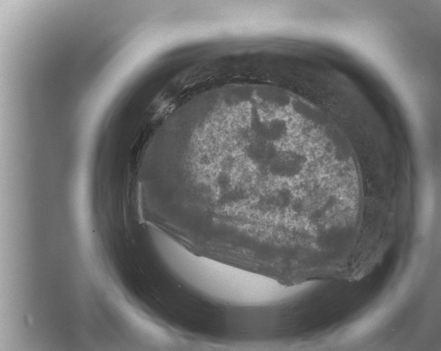 X0000058761487200510281904