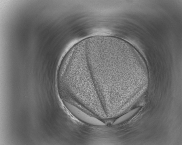 X0000058761488200510281904