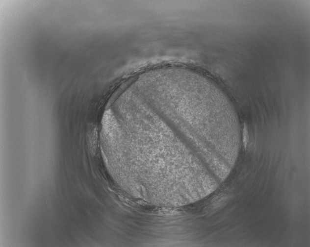 X0000058761492200510281904