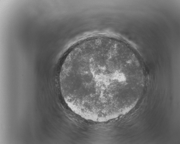 X0000058761496200510281904