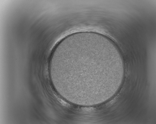 X0000058761498200510281904