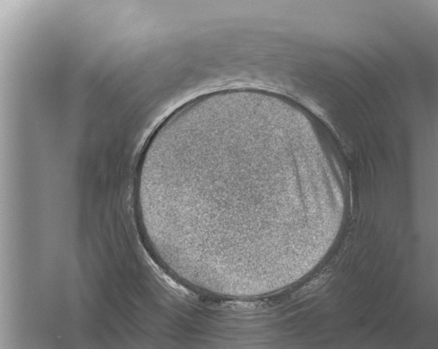 X0000058761500200510281904