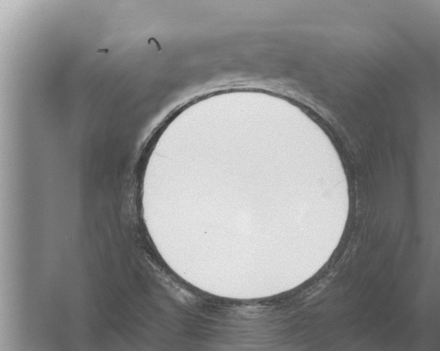 X0000058761502200510281904