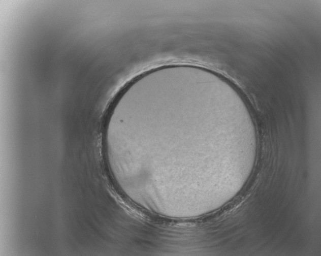 X0000058761503200510281904