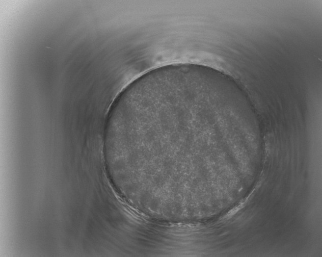 X0000058761505200510281904