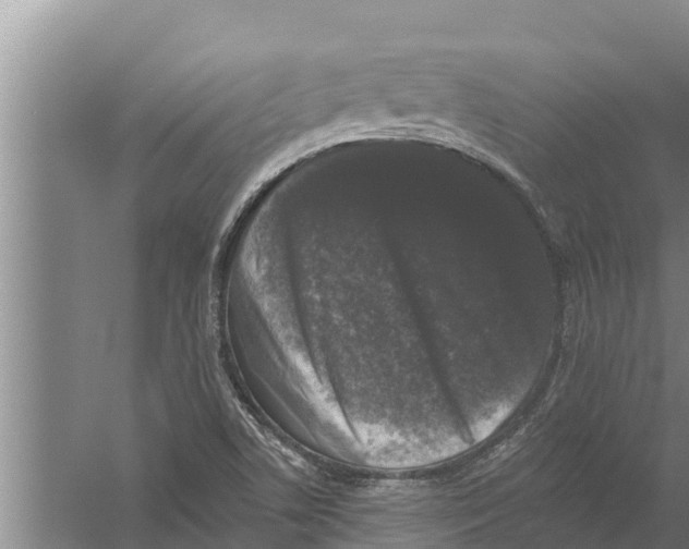 X0000058761506200510281904