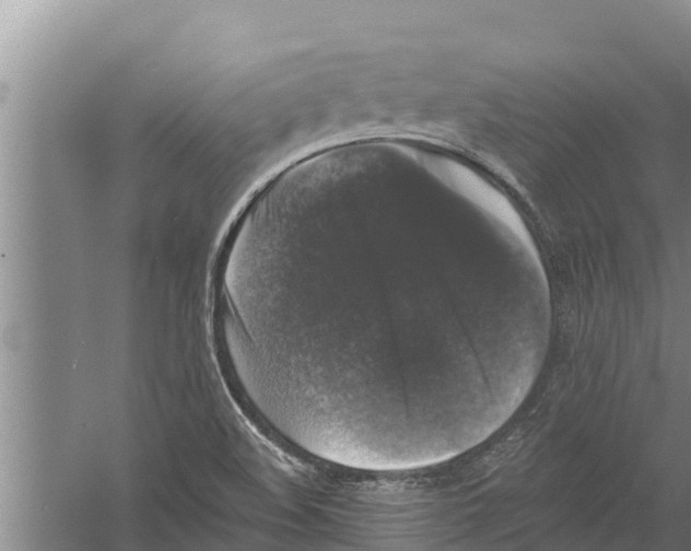 X0000058761508200510281904