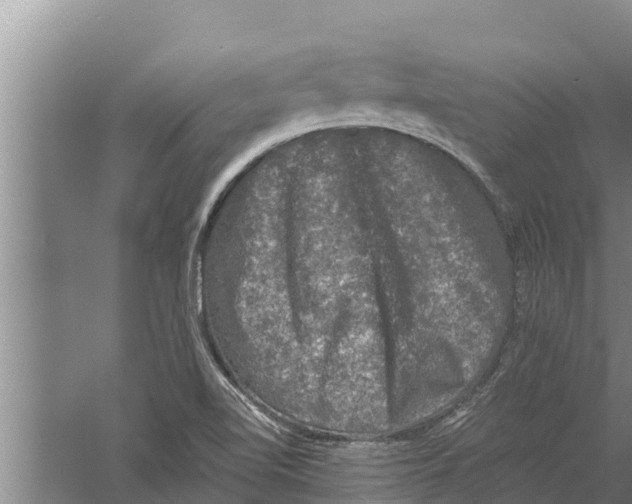 X0000058761510200510281904