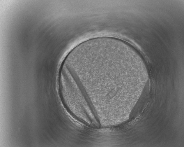 X0000058761512200510281904