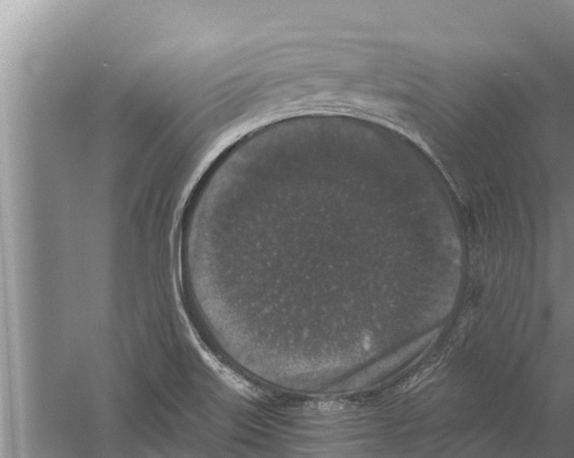 X0000058761515200510281904