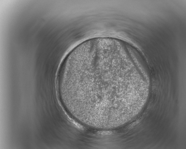 X0000058761517200510281904