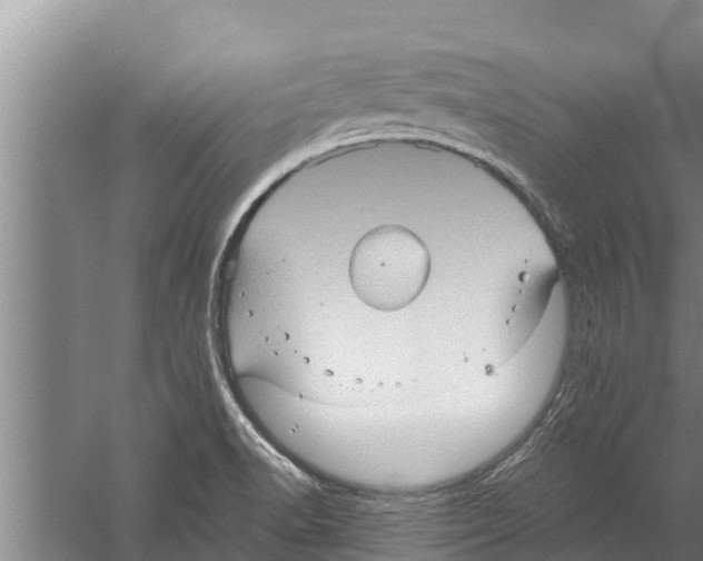 X0000058761518200510281904